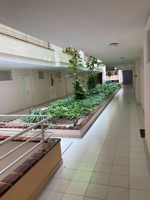 Apartament Sunset Aliss Пуэрто-де-Сантьяго Экстерьер фото